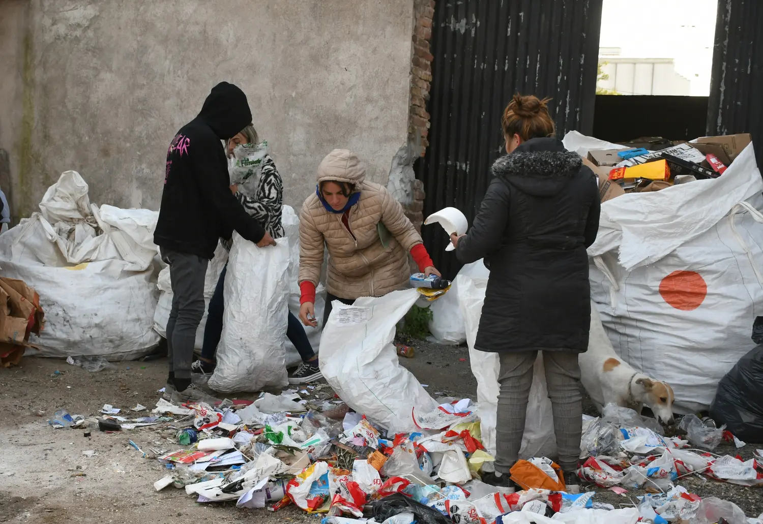 Recuperadores de residuos tienen su cooperativa y un galpón para trabajar