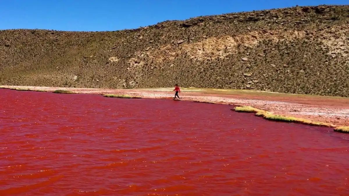 Río Nilo se tiñó de rojo: explicaciones bíblicas y científicas del fenómeno (Video)