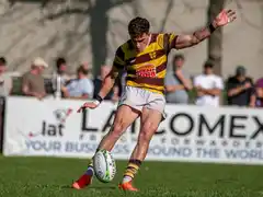 Belgrano quiere asegurar la clasificación a semifinales