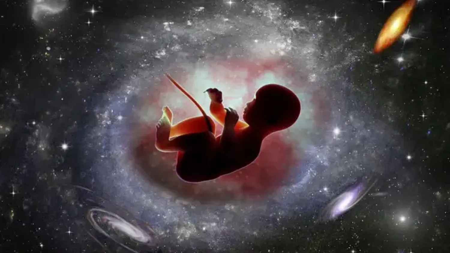 ¿Sabe qué tan cerca está el procrear un bebé en el espacio?