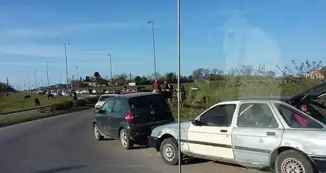 Estacionar es peligroso
