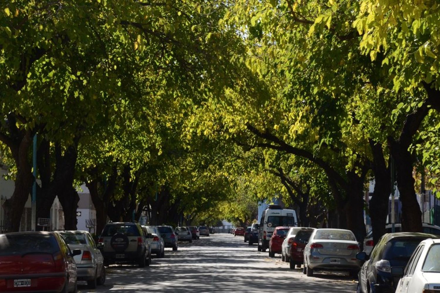 Domingo parcialmente nublado: cierra la semana sin lluvias