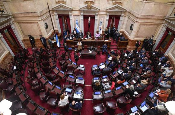 El Senado debate la suspensión de las PASO en comisión