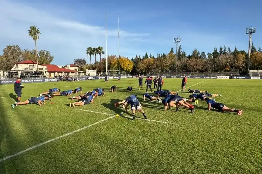 Capibaras XV