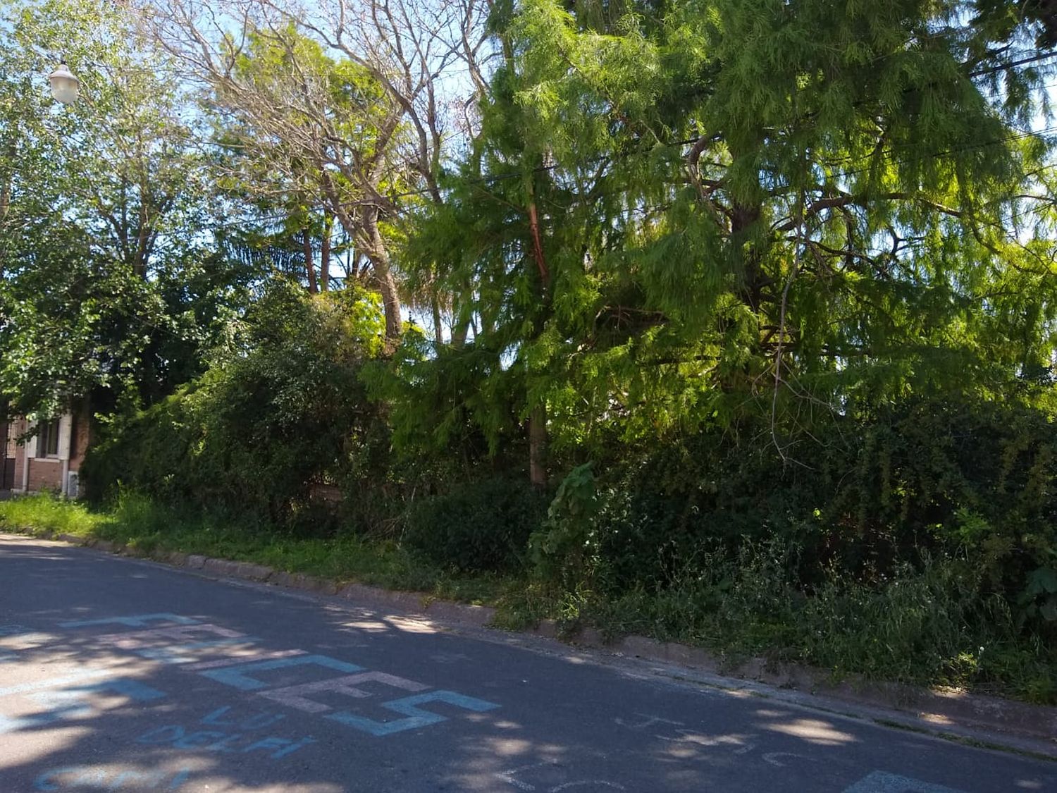 A 20 años del loteo de la Quinta de los Brown, el Municipio nunca hizo la plaza y el terreno está abandonado