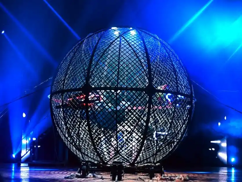Circo