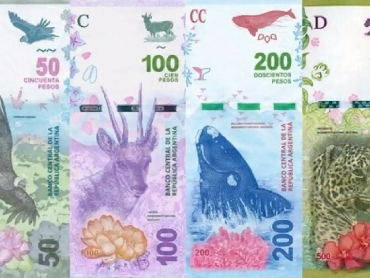 Los animales ya tienen fecha de salida de los billetes