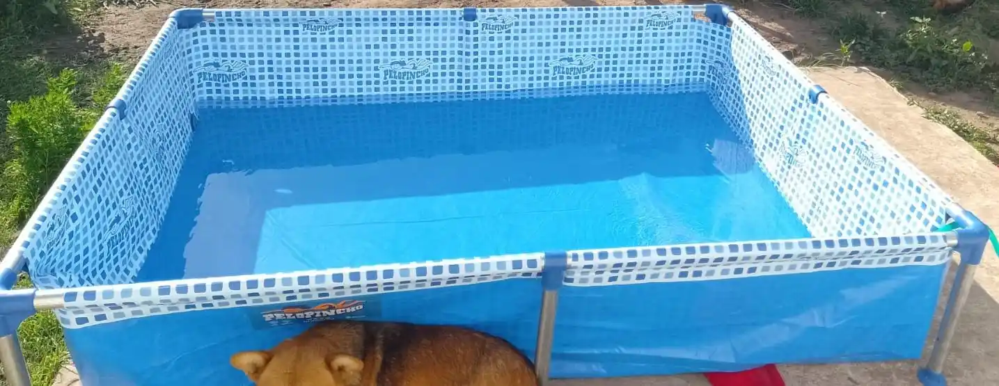 Llegaron en moto, vaciaron el agua y le robaron la pileta que trajo Papá Noel