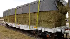 El puerto recibe 20 vagones con alfalfa para exportar a Arabia Saudita