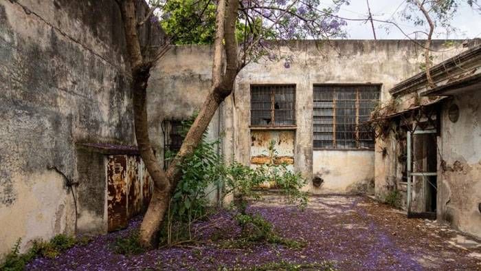 La casa de la infancia de María Elena Walsh se abrirá, y con ella, algo de su universo