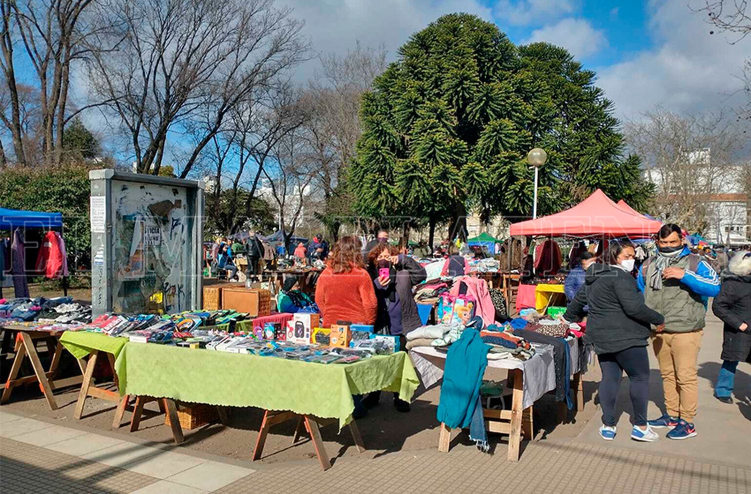 Plaza Rocha: cada vez más personas ven una salida laboral en la feria