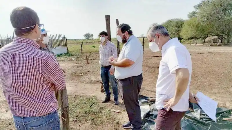 Un nuevo caso de gripe aviar en aves de 
traspatio se detectó en la provincia de Formosa