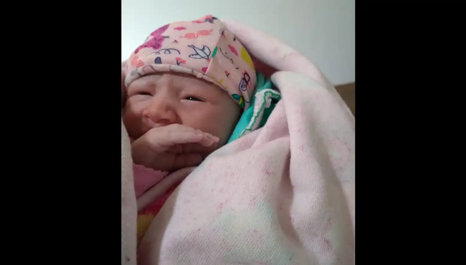 Nacimientos: bienvenida, Emily