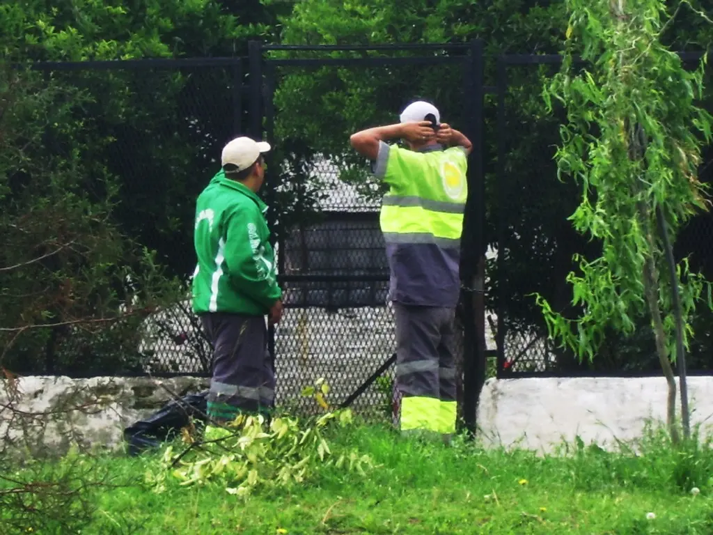 Alertan sobre falsos recolectores de basura en Esteban Echeverría