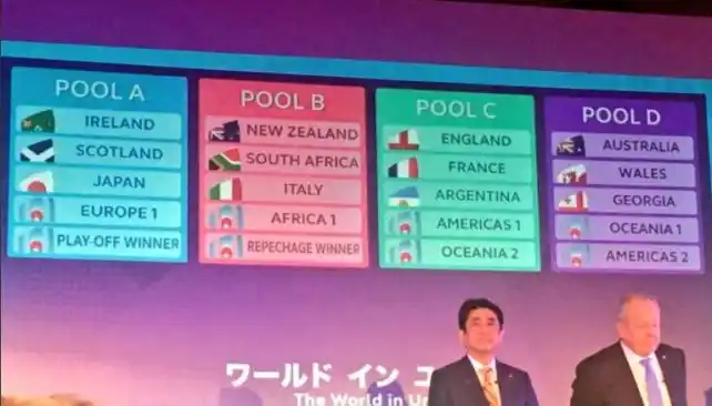 Los Pumas ya conocen su grupo del Mundial 2019