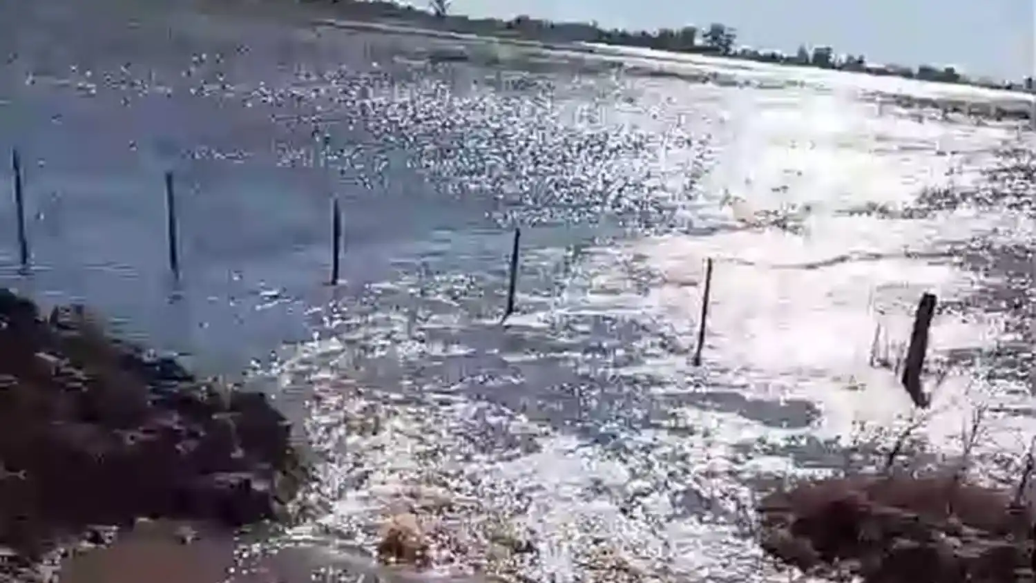 Para CARBAP existen más de un millón de hectáreas anegadas, escuelas cerradas y familias aisladas. (Foto: CARBAP)