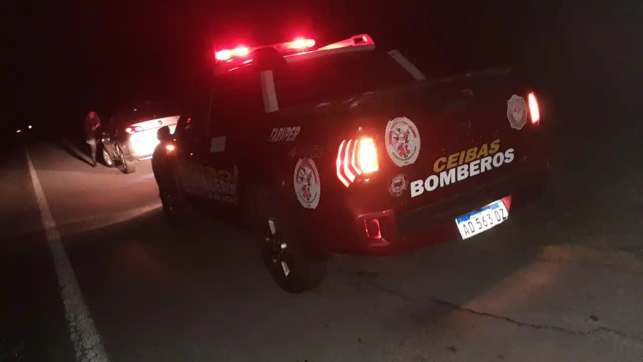 Un gualeguaychuense impactó contra un animal en la Autovía Nº14