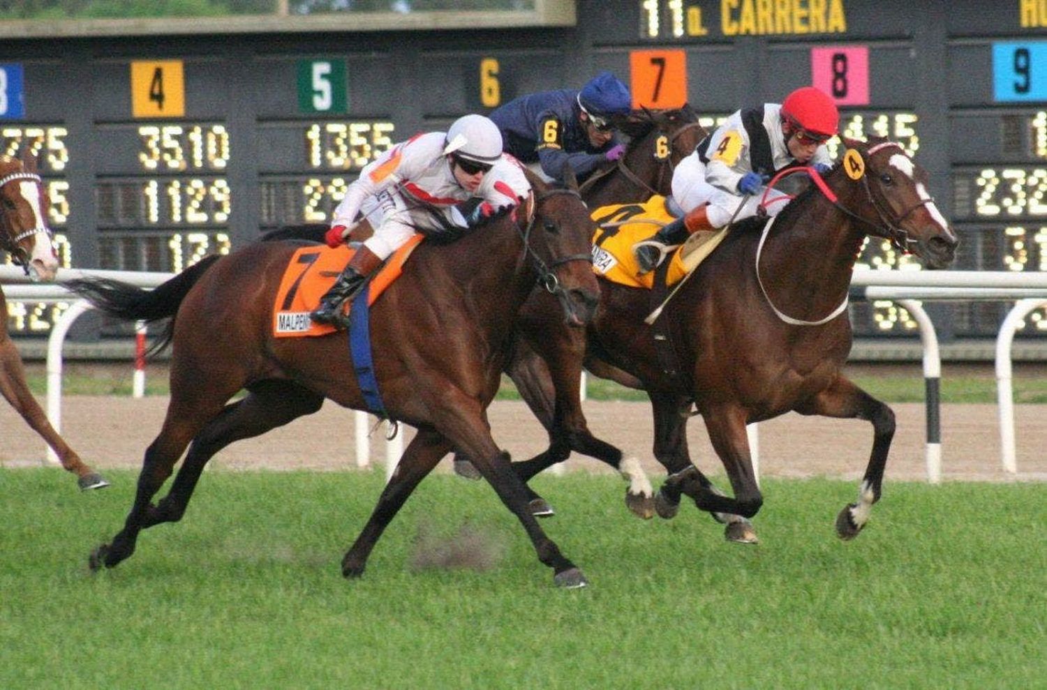 Miércoles 20: Actividad Hipódromo de San Isidro