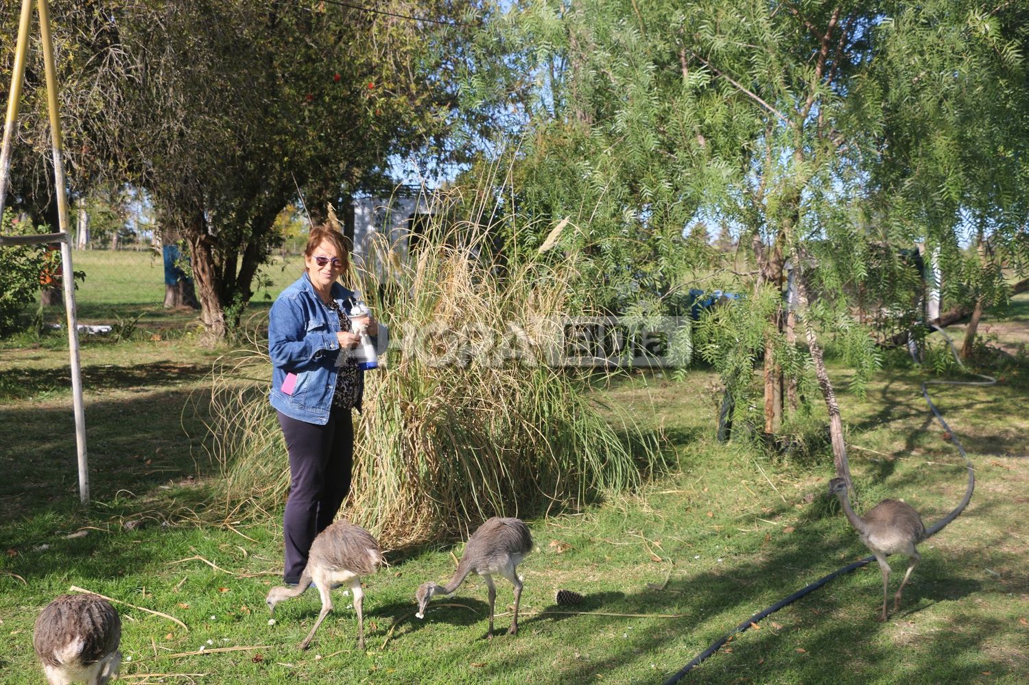 Una vecina de Gualeguaychú denuncia un “avasallamiento de la propiedad privada”