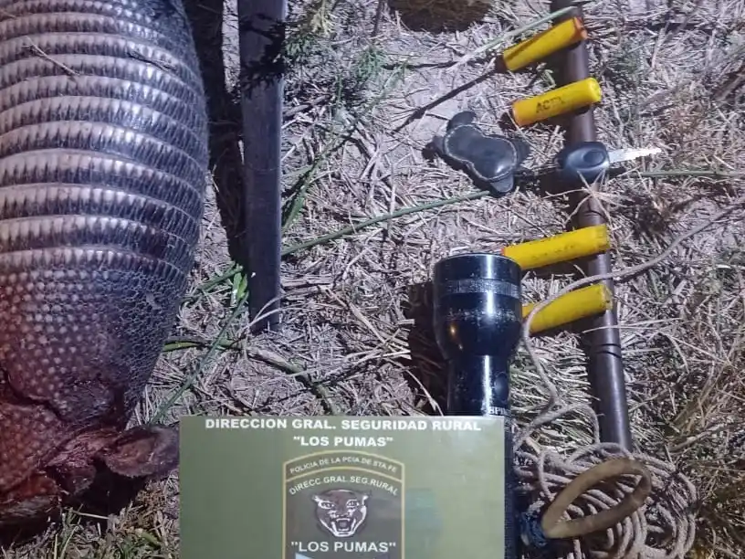 Estaba cazando y fue sorprendido con un arma sin papeles, municiones y un ejemplar de tatú carreta