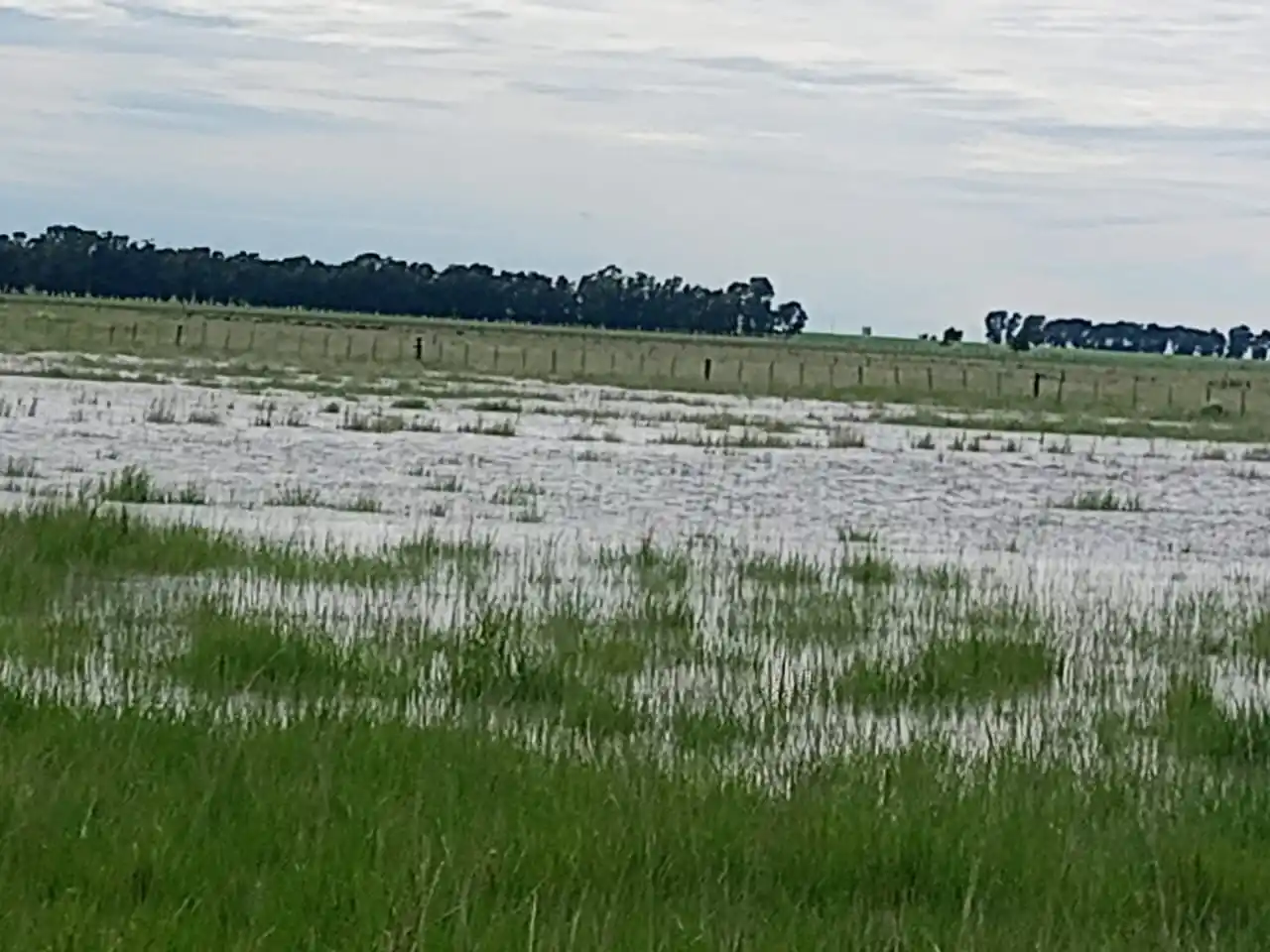 El agua de los rebalses ganó espacio en la zona rural del distrito