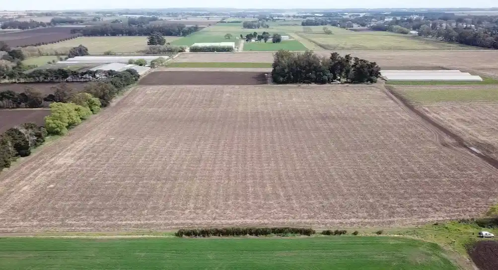 Cadetes tiene nuevo predio para construir su villa deportiva
