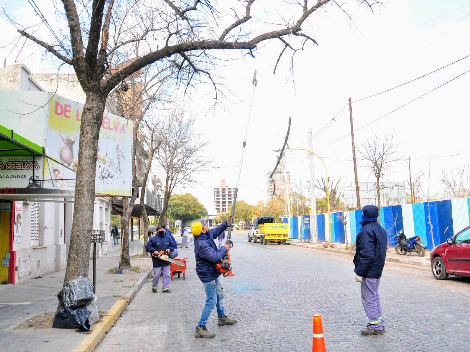 El municipio realiza poda baja en la zona céntrica