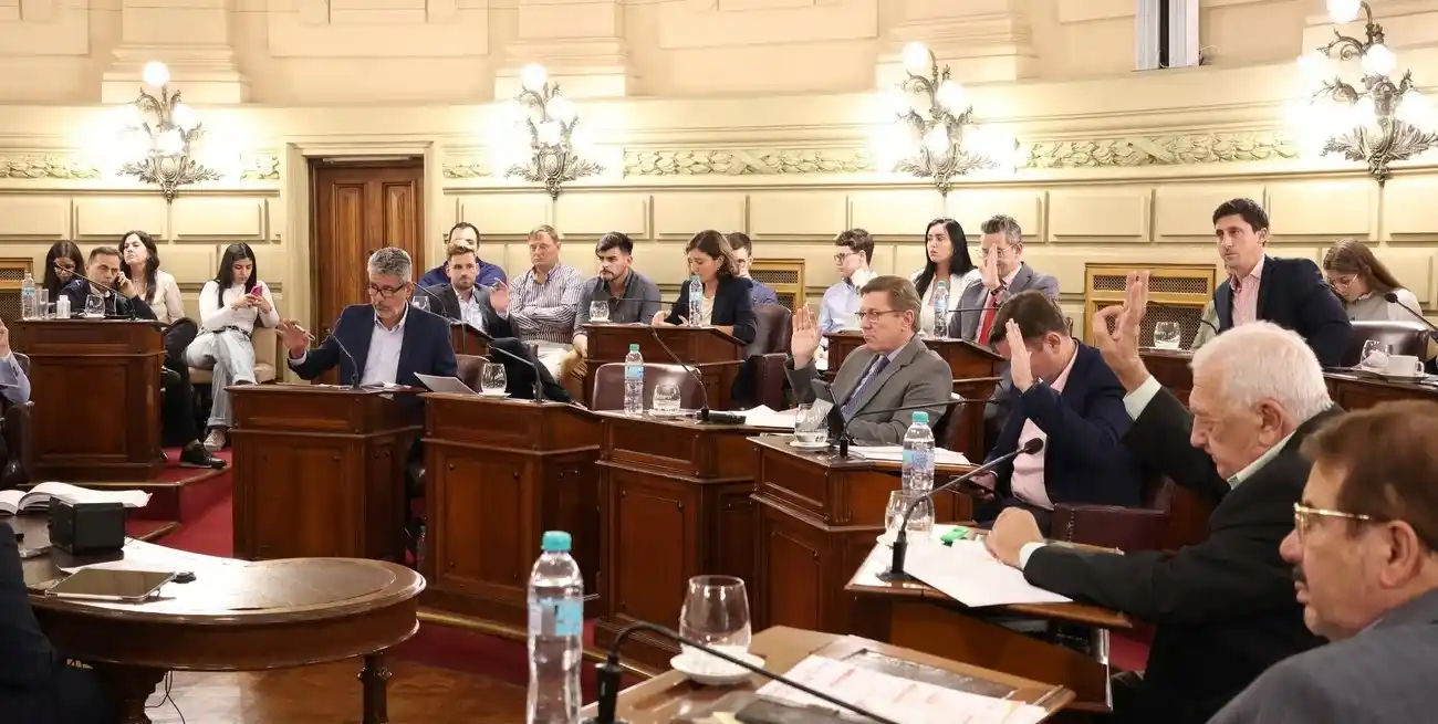 La Cámara alta aceptó la renuncia de Enrico tras la discutida controversia por su licencia. Foto: Gentileza Senado de Santa Fe.