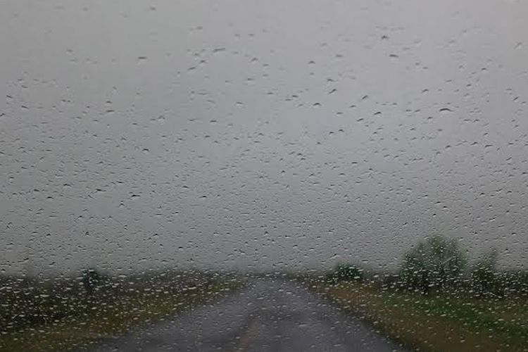 El alivio universal, el año arrancó con una lluvia indispensable