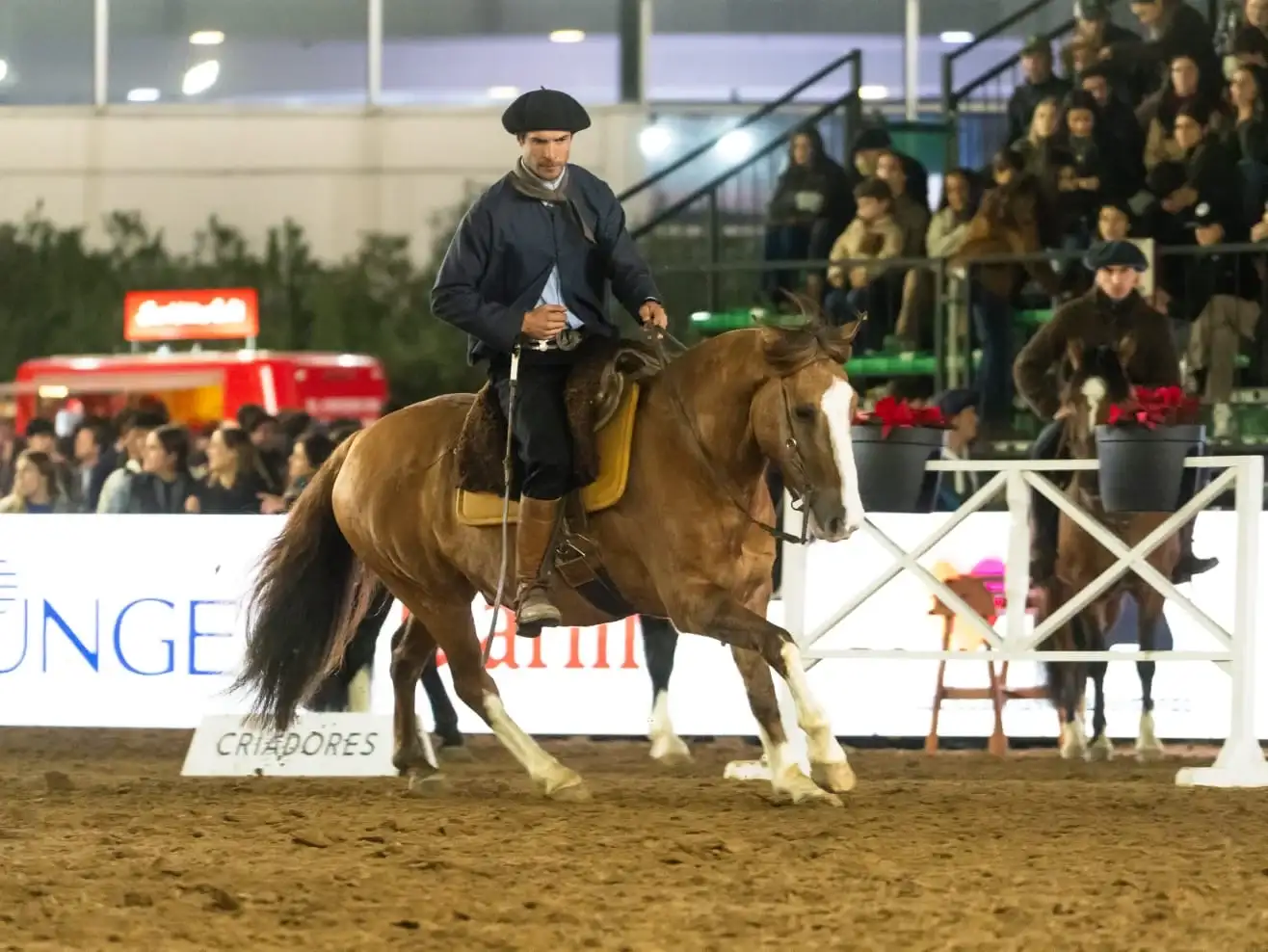 En la pista de Palermo, en la monta del Gran Campeón, el mejor caballo criollo del país.