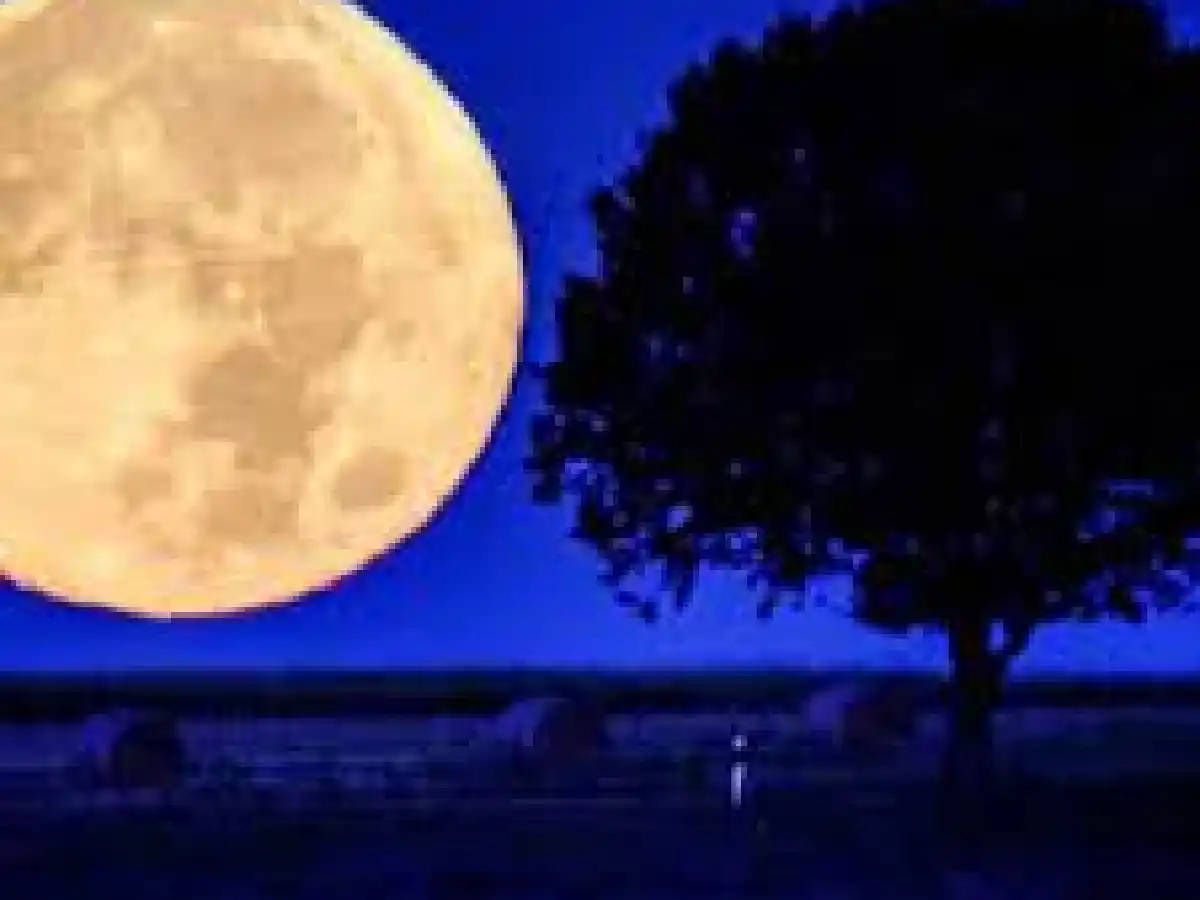 Superluna de Ciervo julio 2022: ¿a qué hora será en Argentina y desde dónde ver?
