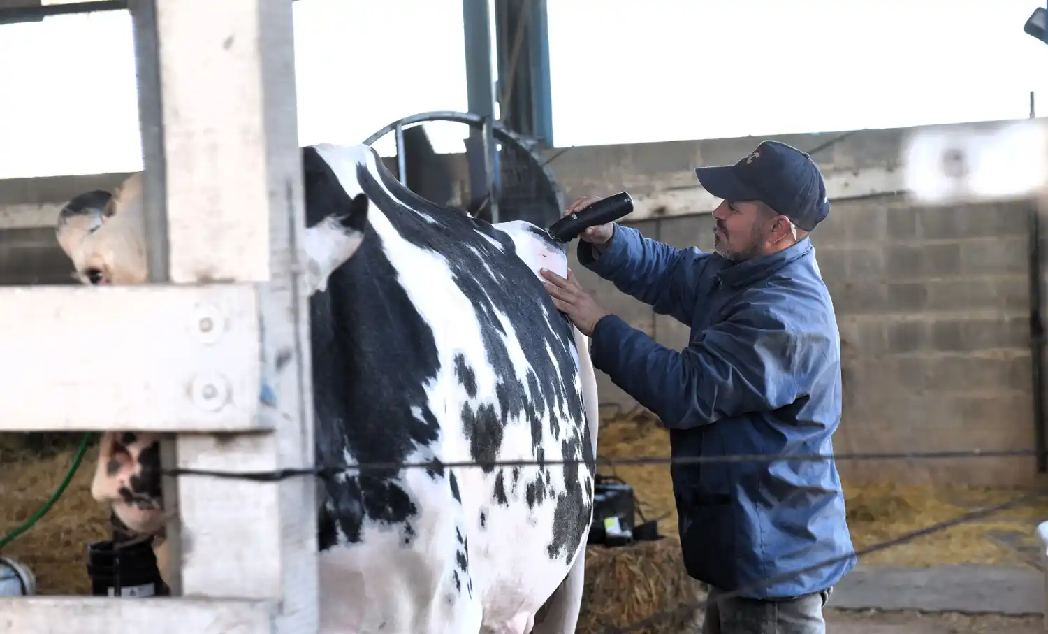 Cabañeros en la previa de San Francisco Expone