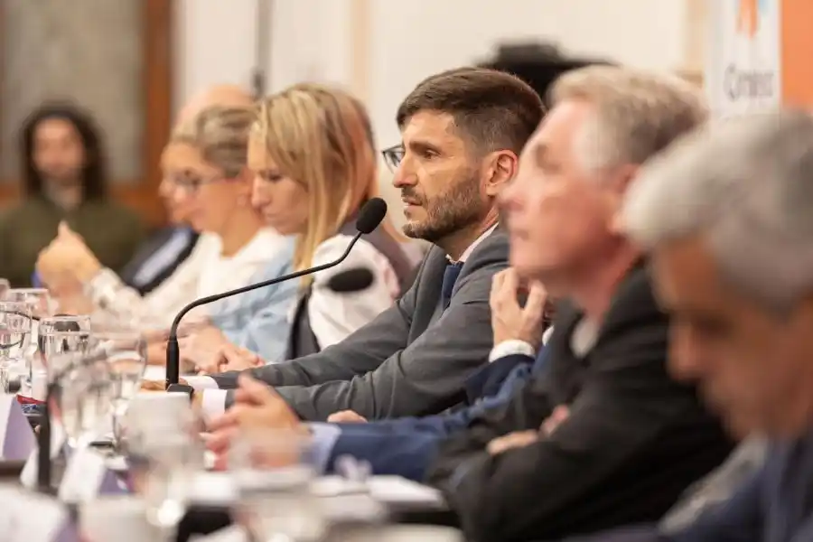 Pullaro encabezó la reunión del Consejo Económico y Social