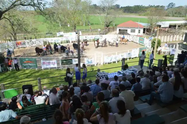 Culmina la Expo Rural 2018