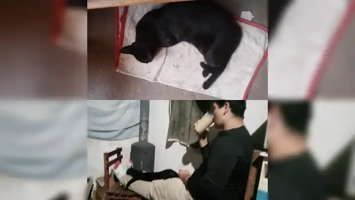 Mundo mascotas: buscan a Negra