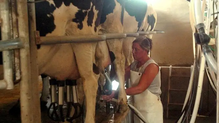 La lechería según Chemes: “Las vacas consumen dólares y dan pesos”