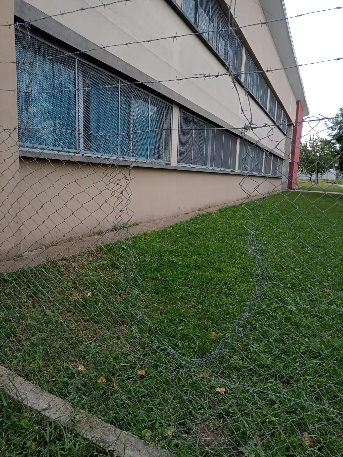 Robaron en la Escuela 14 del barrio Arco Iris.