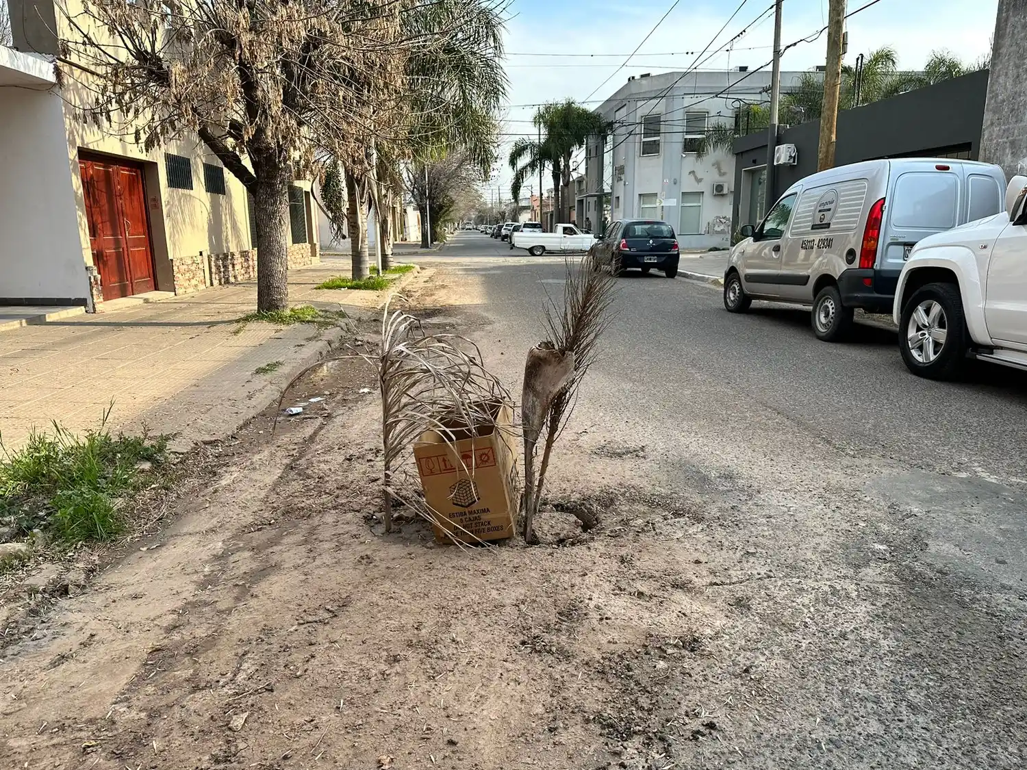 Bache en calle Gomendio al 350