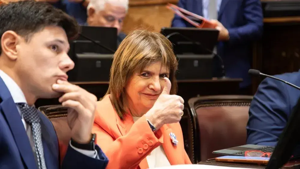 El Senado analizará la reforma electoral impulsada por el Gobierno: