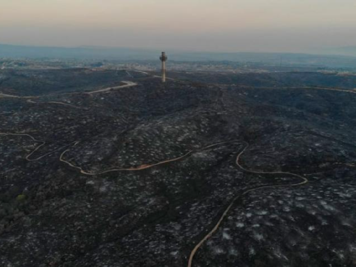 El gobierno provincial presentó denuncia por la venta de lotes afectados por incendios