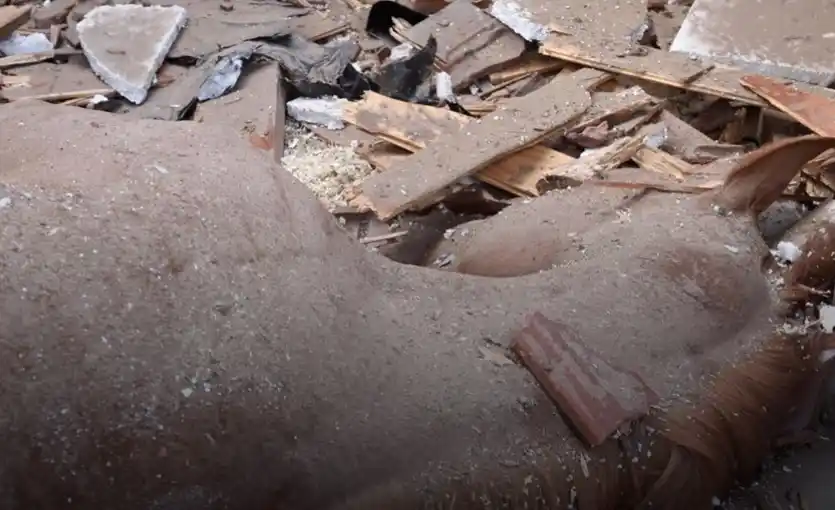 Se cayó una antena del Hipódromo y mató a un caballo de carrera