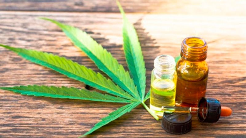 Cannabis medicinal: El Gobierno permitirá el cultivo personal