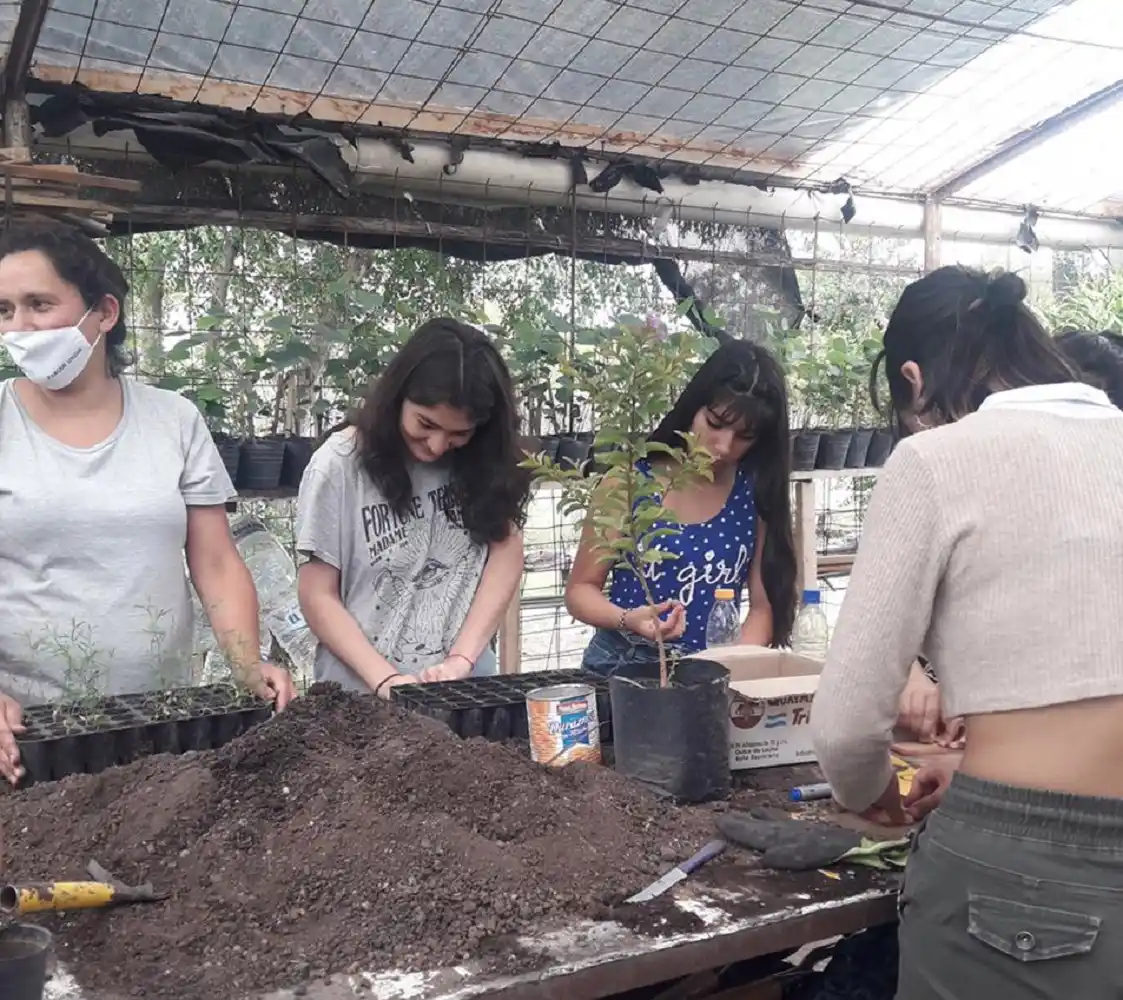 El Vivero Municipal de Árboles Nativos produjo más de 10.000 plantines en menos de un año y medio