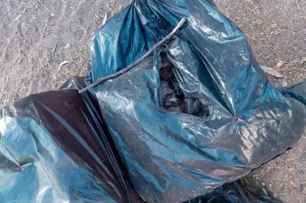 En el barrio cordobés Paseo de los Andes