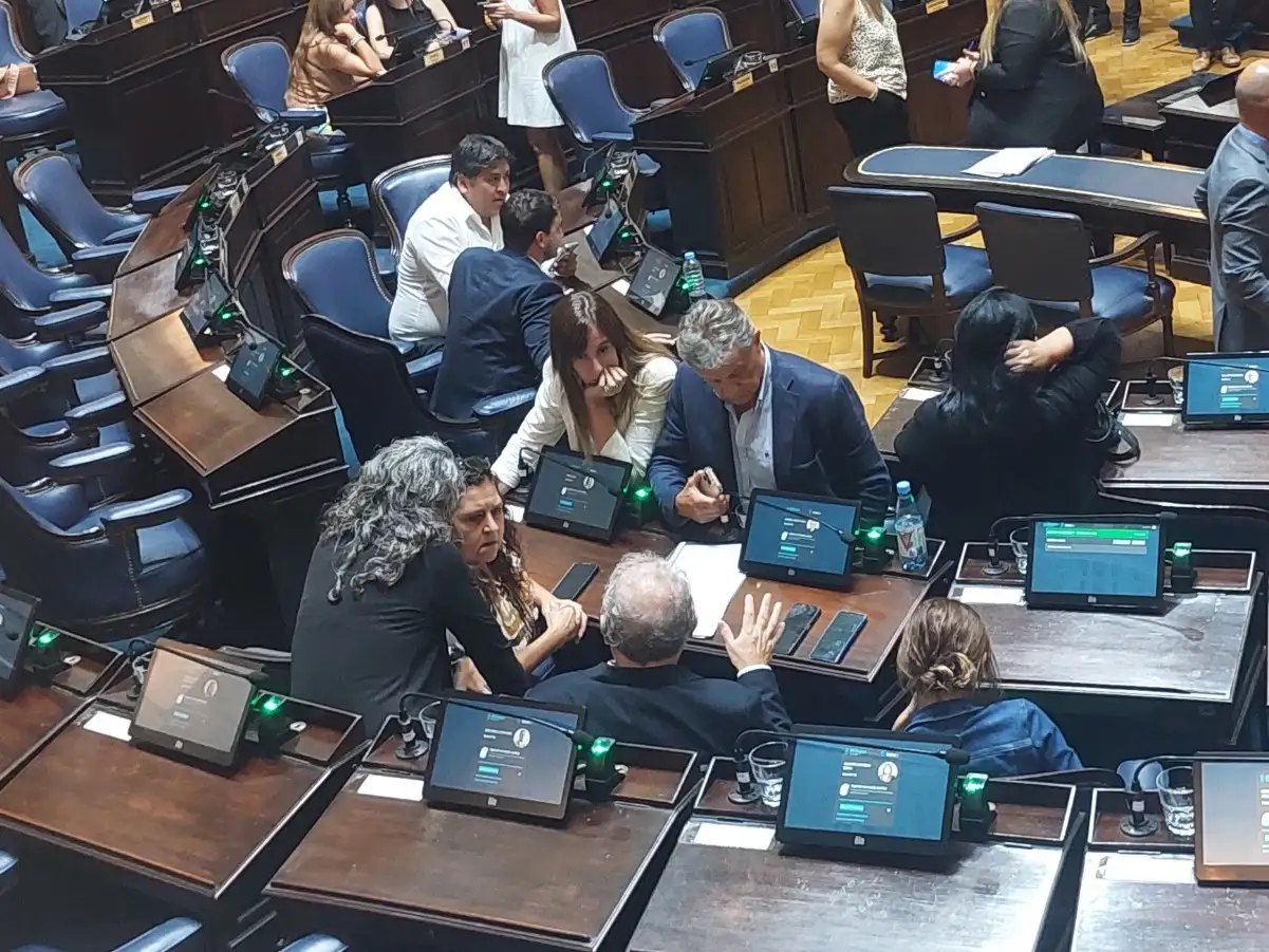 Susana González, Gustavo Pulti y otros diputados del bloque oficialista.