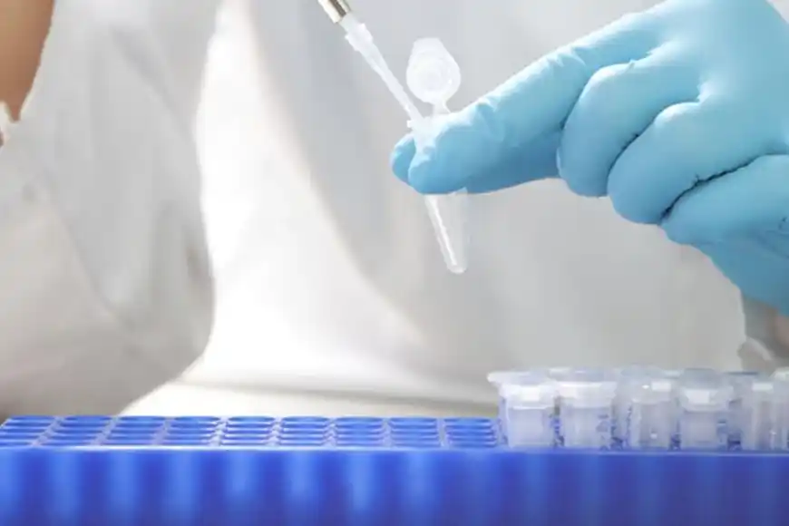 Conicet . Ciencia y Tecnología