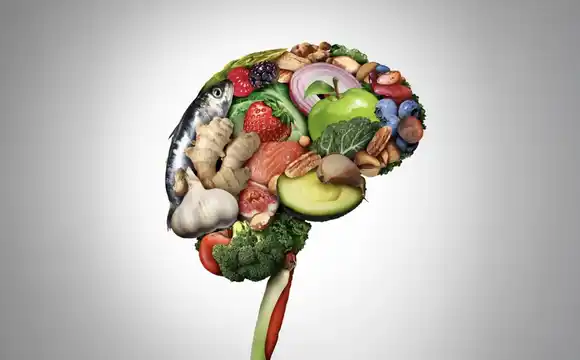Alimentos para el cerebro: Cómo mejorar la concentración a través de la alimentación
