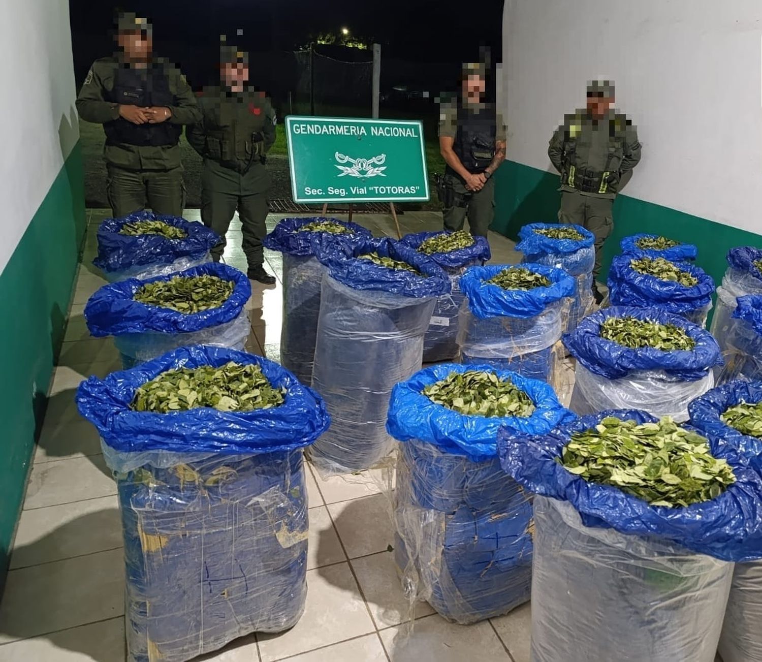 Los Pumas secuestraron 400 kilos de hojas de coca en estado puro