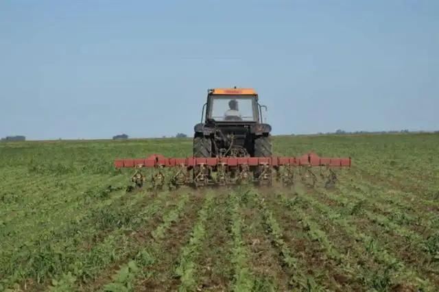 Córdoba: una fundación de ingleses y argentinos hace 100% de producción orgánica