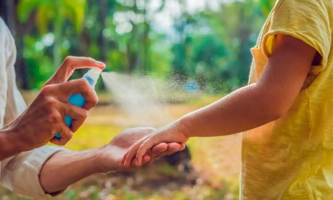 Con la primavera, advierten por el avance del dengue y llaman a reforzar la prevención